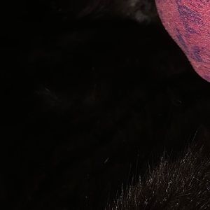 Meet your Posher, Dee